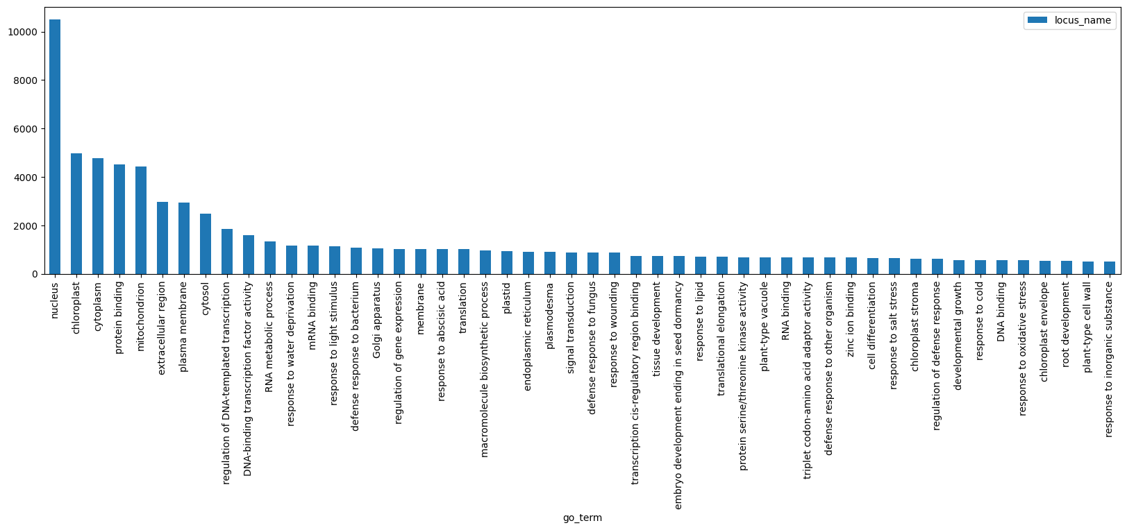 Gene function distribution.